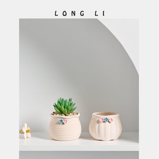 Succulent Flower Pot Decoration