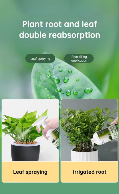 Insecticide flower plant insecticide flower aphids rose flower diseases and insect pests indoor flower spray insecticide water e