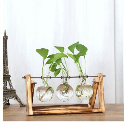 Vintage Creative Hydroponic Plant Transparent Vase Wooden Frame Coffee Shop Room Glass Tabletop Plant Bonsai Decr