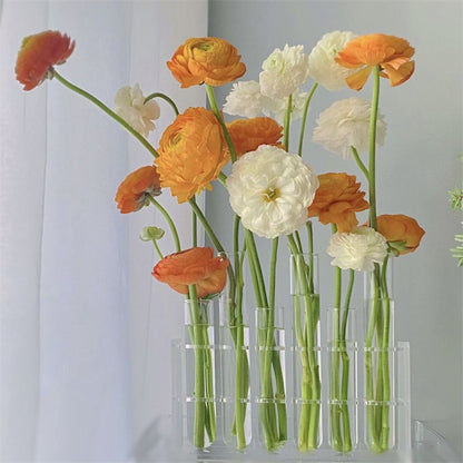 Bracket Acrylic Glass Test Tube Vase ins Floral Aquaculture Flower Set Flower Vase Decoration Ornaments