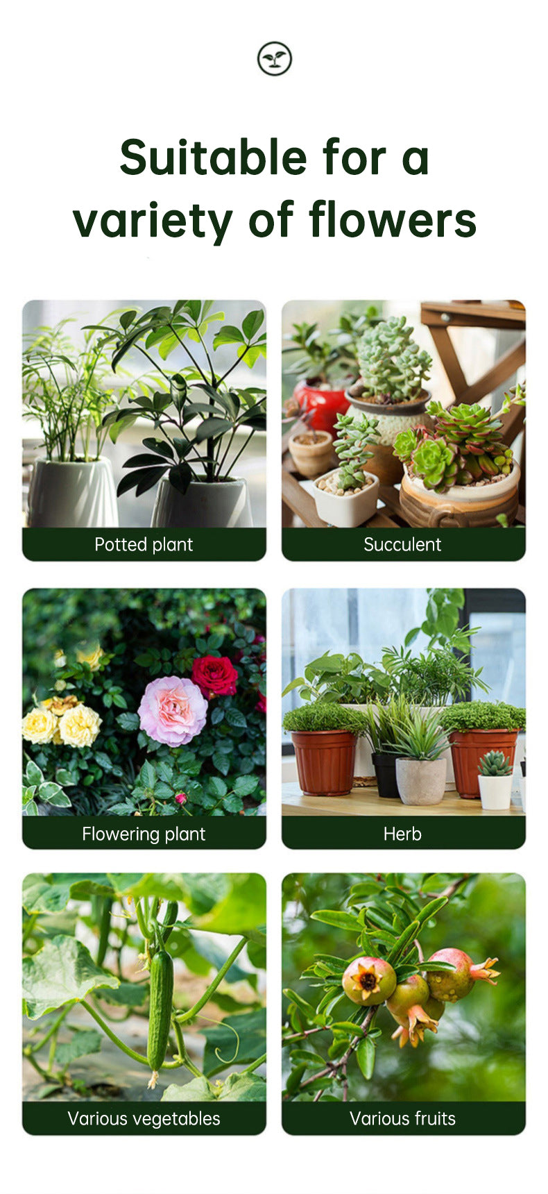 Insecticide flower plant insecticide flower aphids rose flower diseases and insect pests indoor flower spray insecticide water e