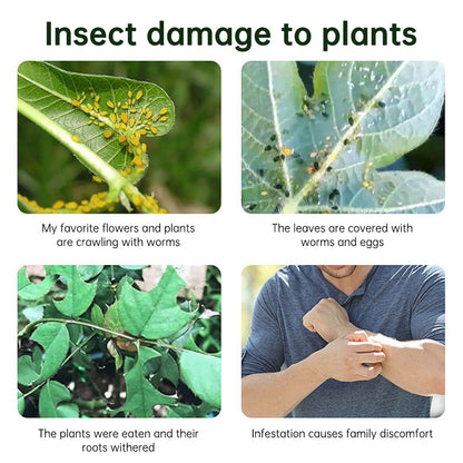 Insecticide flower plant insecticide flower aphids rose flower diseases and insect pests indoor flower spray insecticide water e